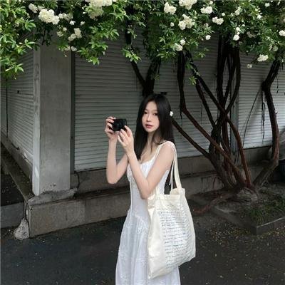 尘与雪海报